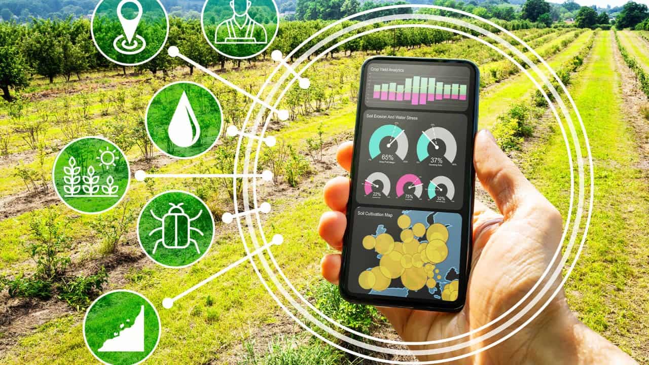 Big Data en la agricultura: cómo aumentar la producción con datos