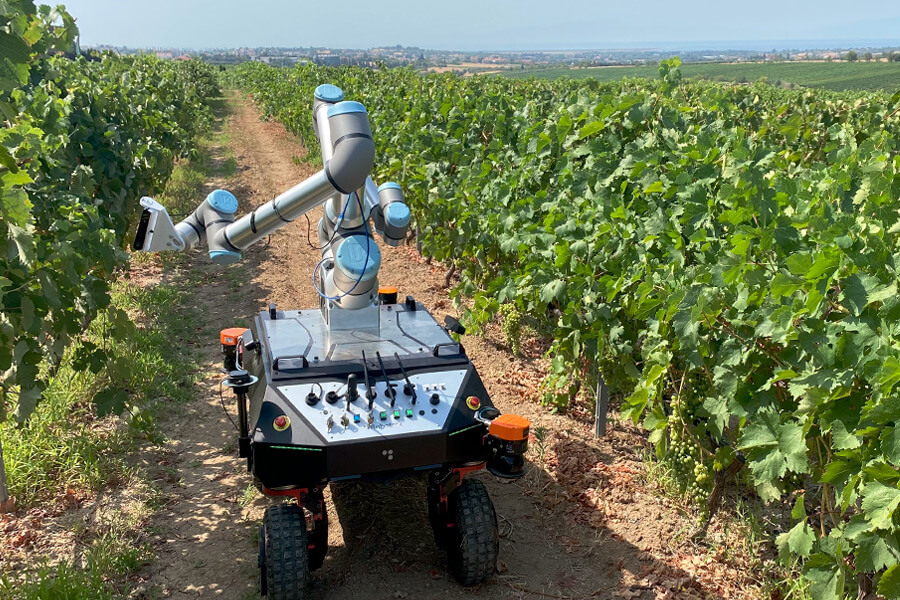 Robots agrícolas: ¿el fin del trabajo manual en el campo?