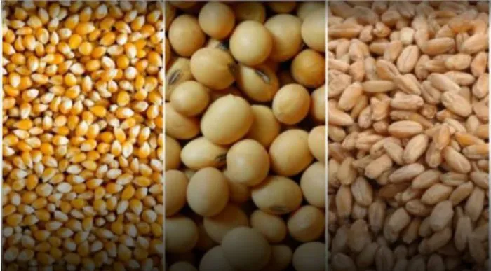 Las tendencias globales que están cambiando el comercio mundial de granos