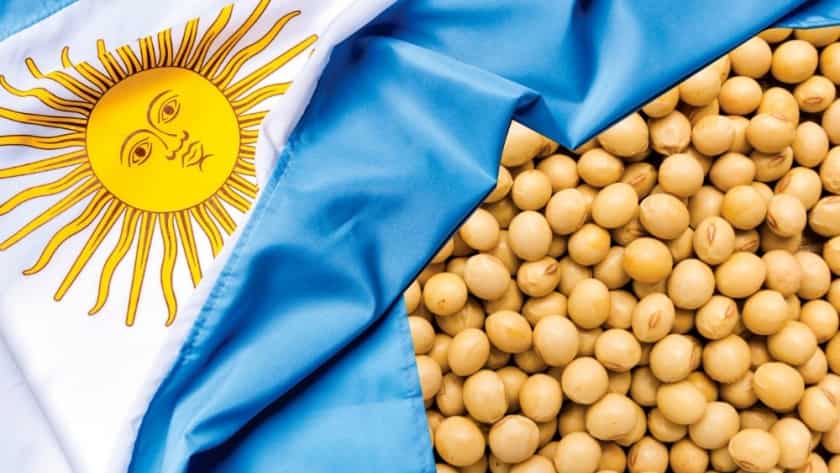 Los sectores que impulsarán las exportaciones argentinas en los próximos años